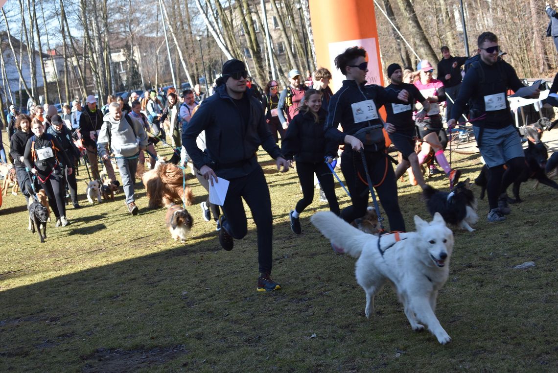 MYSZKÓW. PSIA SOBOTA NA DOTYKU JURY CZYLI VII JURAJSKI DOKTREKKING. BIEGALI Z PSAMI. ZDJĘCIA