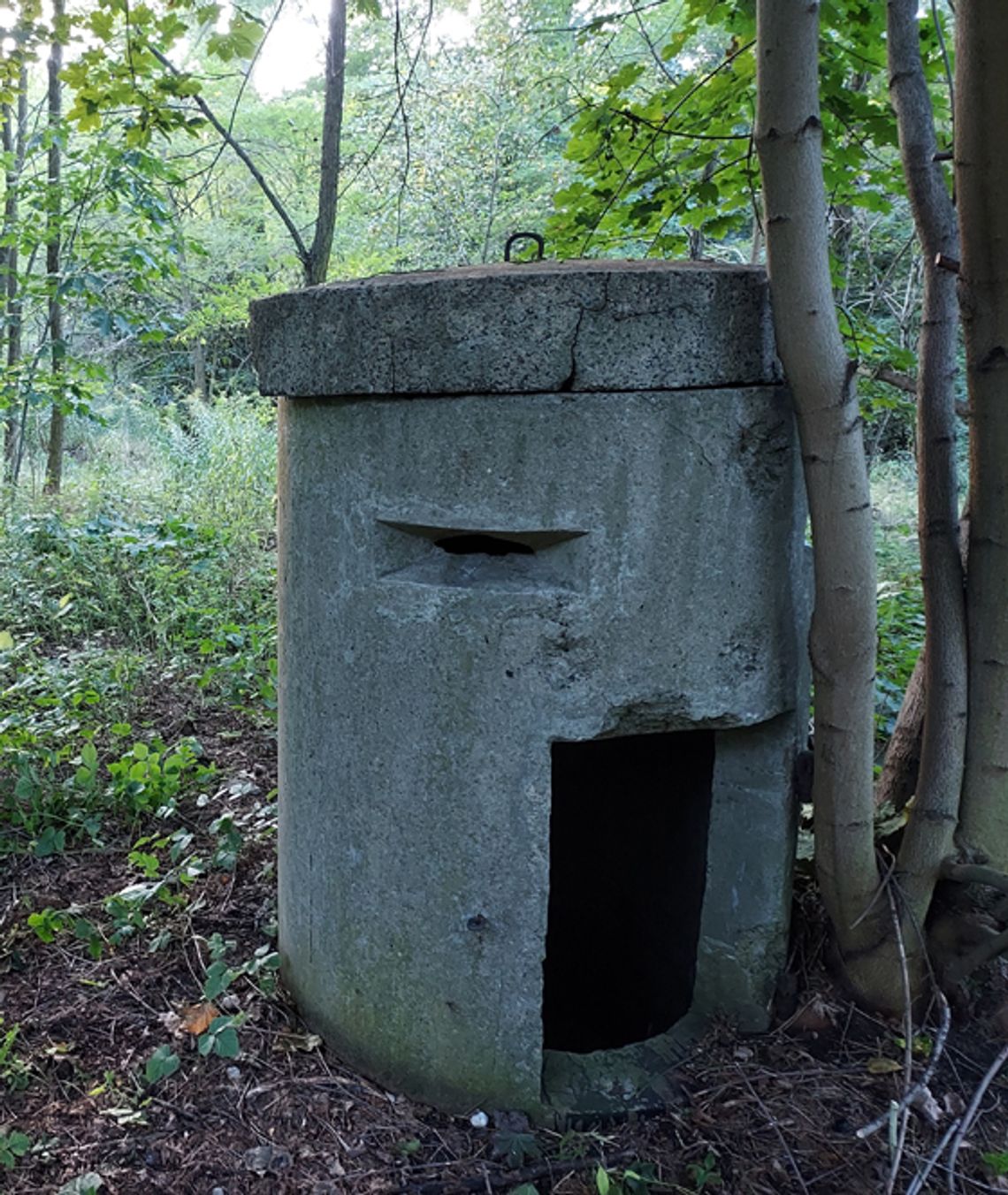 Na terenie dawnej fabryki w Zawierciu- Borowym Polu ujawniono schron typu „Einmannbunker”