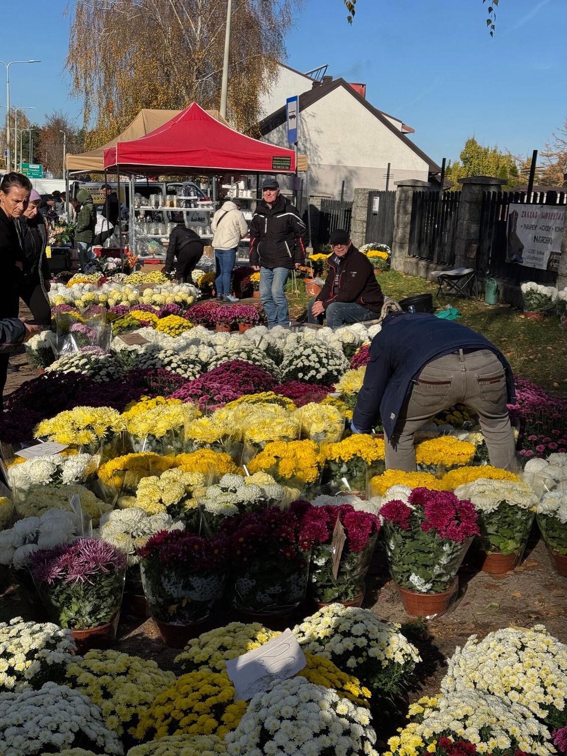 NA WSZYSTKICH ŚWIĘTYCH PRAWO NIE DZIAŁA NA WSZYSTKICH ŚWIĘTYCH PRAWO NIE DZIAŁA