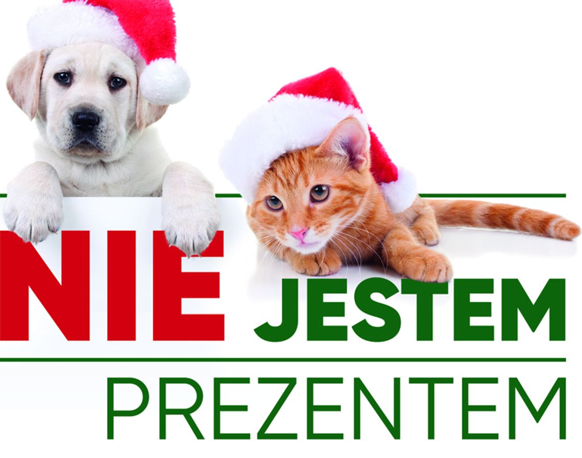 Nie jestem prezentem