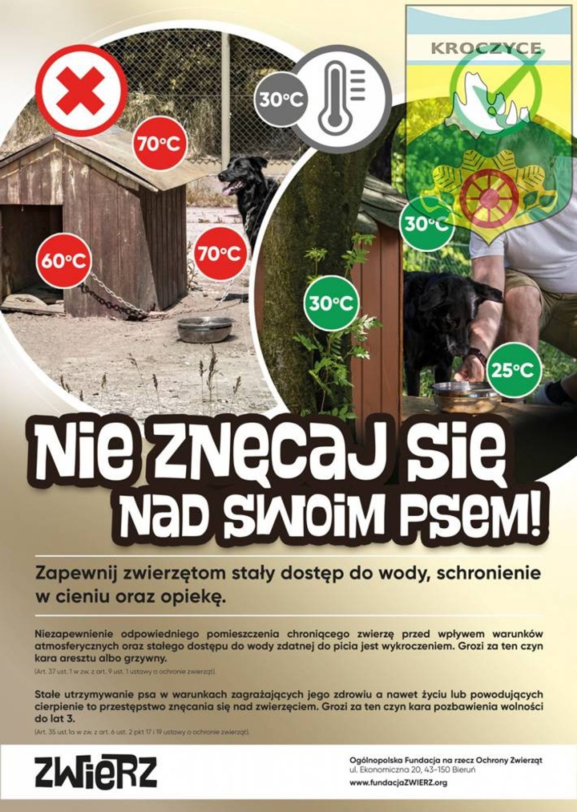 Nie znęcaj się nad swoim psem!