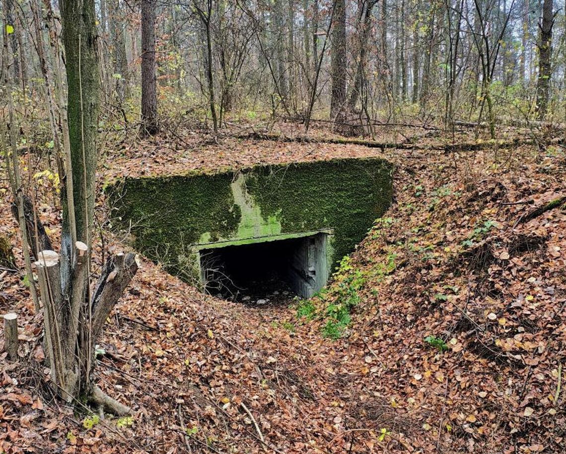 Nowe życie historycznych bunkrów Nowe życie historycznych bunkrów