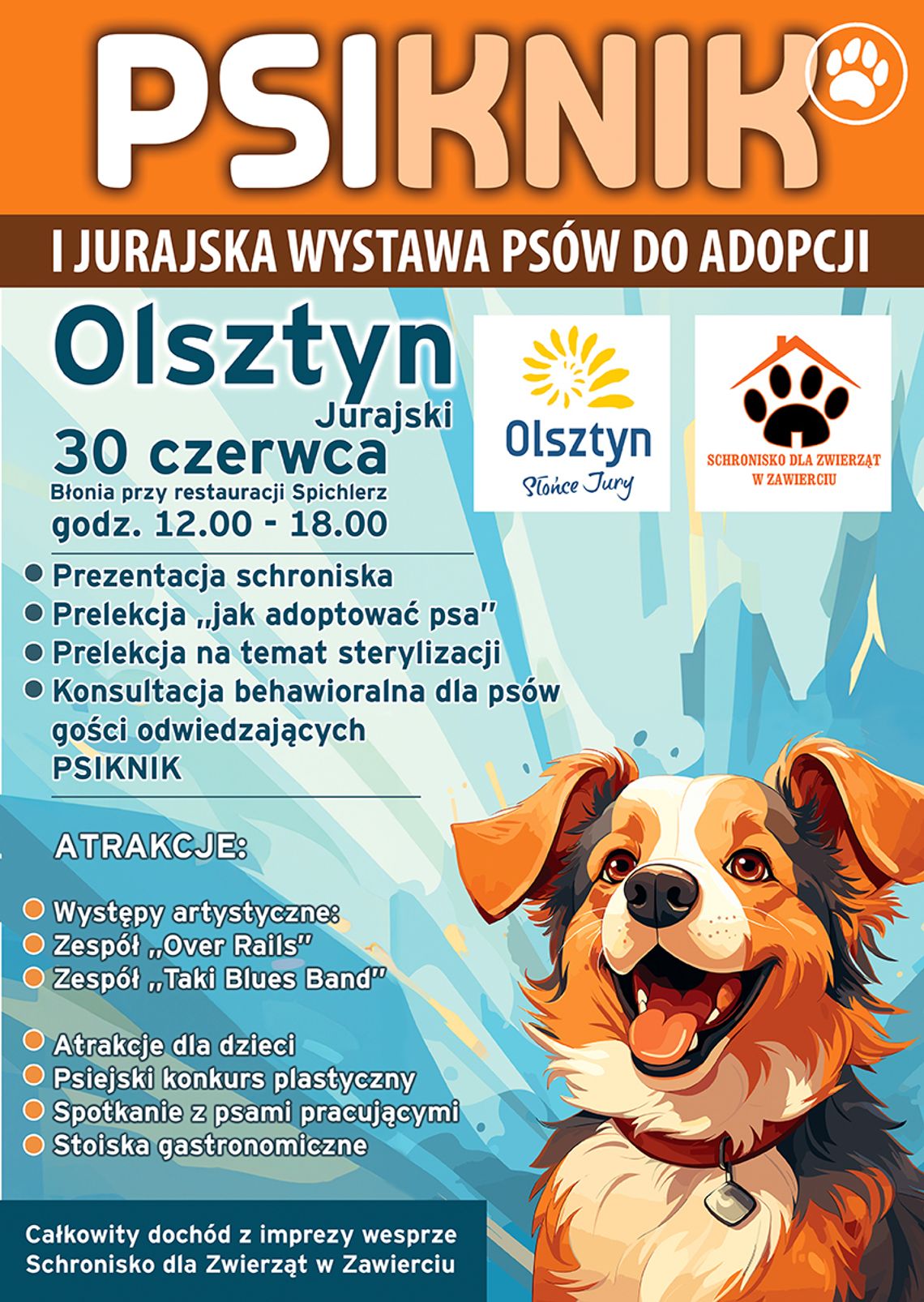 Olsztyn: I Jurajska wystawa psów do adopcji