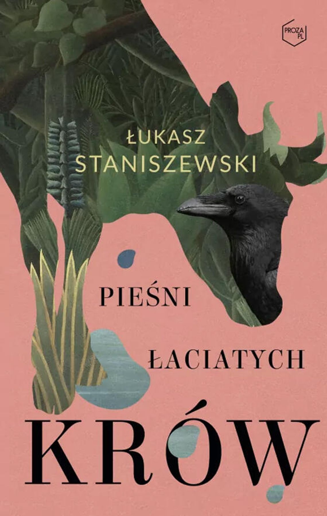 Pieśni łaciatych krów  Łukasz Staniszewski