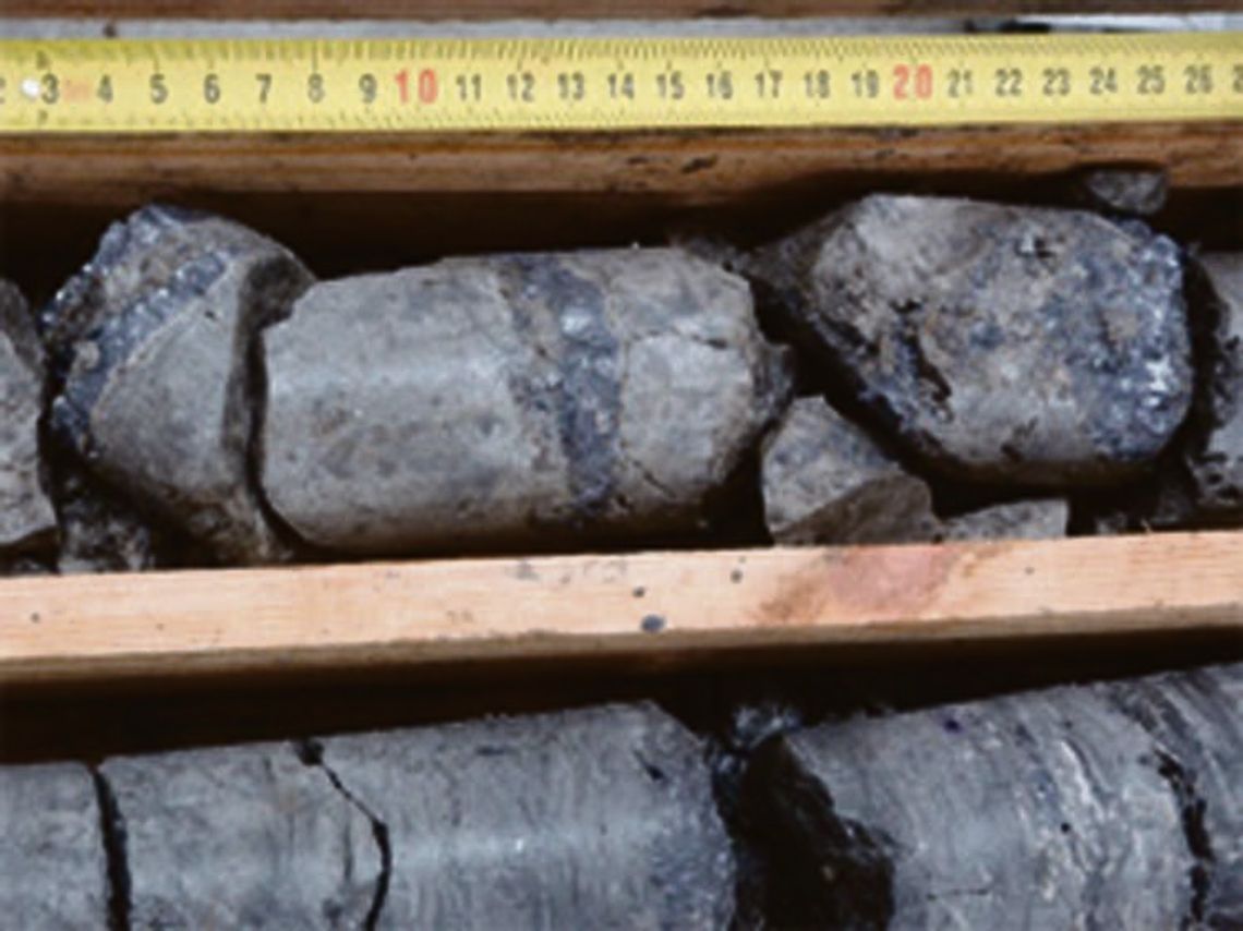 Polski Rząd przedłuża koncesję na badanie złóż cynku i ołowiu dla Rathdowney! Polski Rząd przedłuża koncesję na badanie złóż cynku i ołowiu dla Rathdowney!