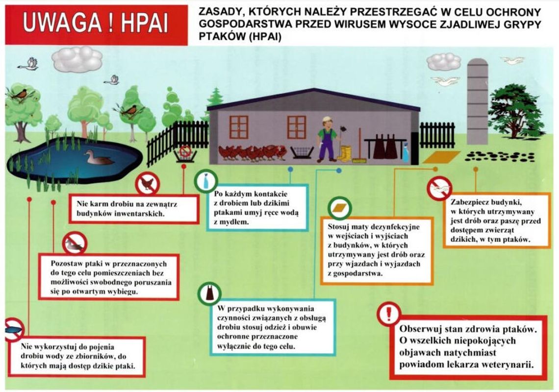 Ptasia grypa w woj. śląskim