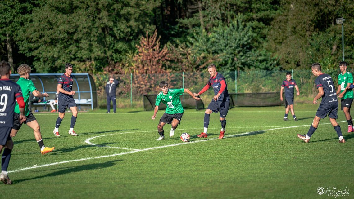 ROSZADY ZA PLECAMI SKALNIAK ROSZADY ZA PLECAMI SKALNIAK