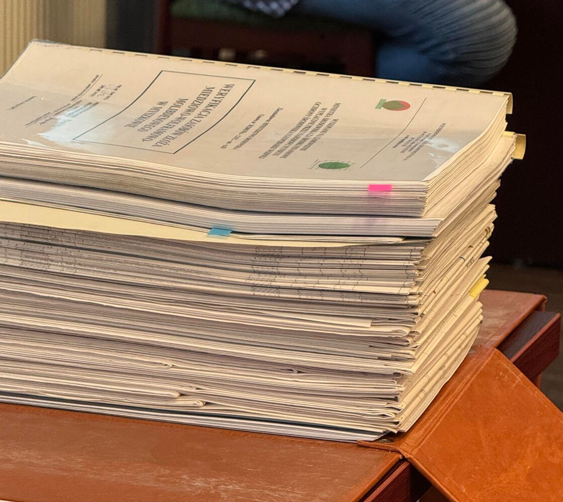 Rozwój Myszkowa. Za i przeciw kopalni wolframu Rozwój Myszkowa. Za i przeciw kopalni wolframu