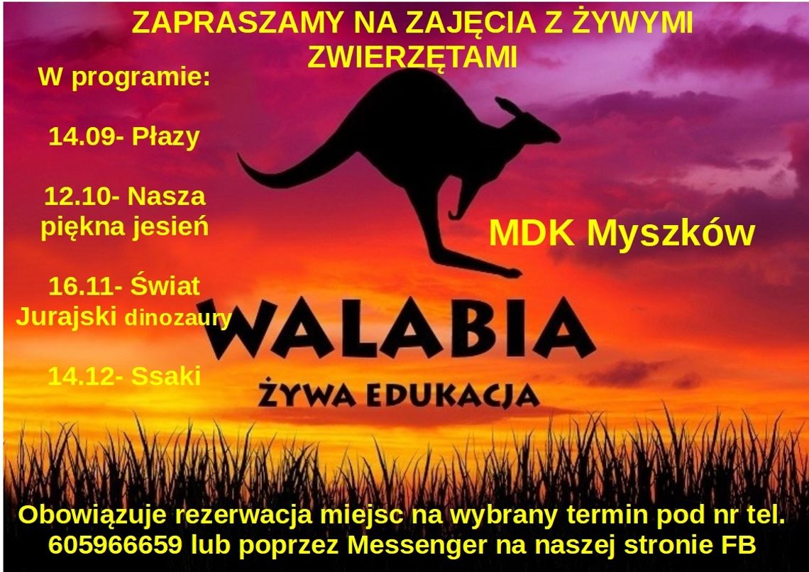 Zajęcia z żywymi zwierzętami w MDK Myszków