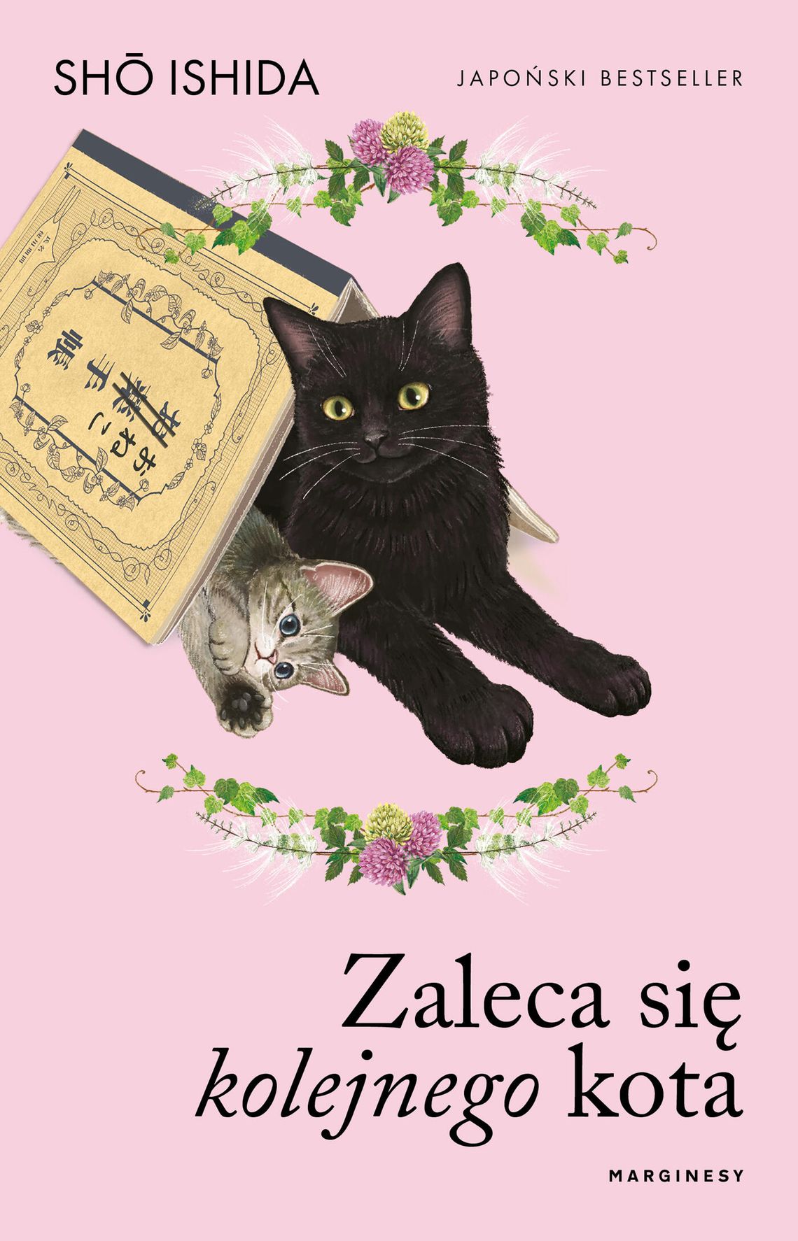 Zaleca się kolejnego kota Shō Ishida