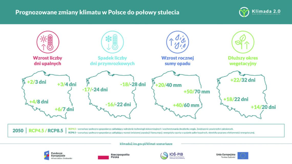 Zmiany klimatu w Polsce. Co nas czeka w pogodzie w XXI wieku?