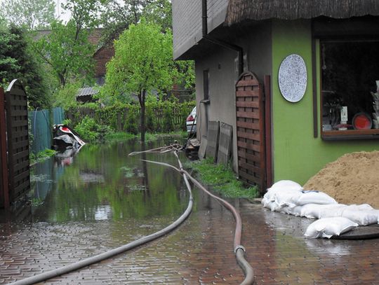 MSZCZĄ SIĘ ZANIEDBANIA