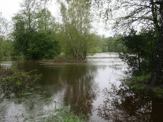 WODY WYSTĄPIŁY Z BRZEGÓW