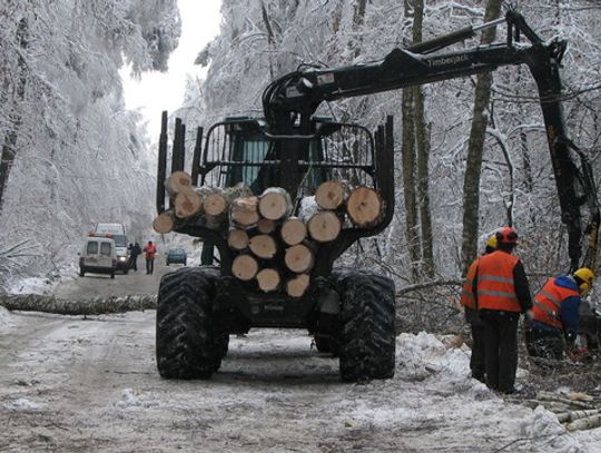 OPRÓCZ ŻOŁNIERZY POMOGLI LEŚNICY