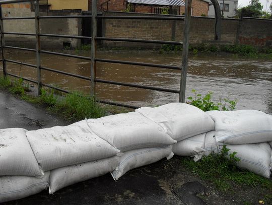 MSZCZĄ SIĘ ZANIEDBANIA