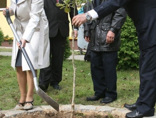 ZOSTANIE DĄB A Z NIM PAMIĘĆ