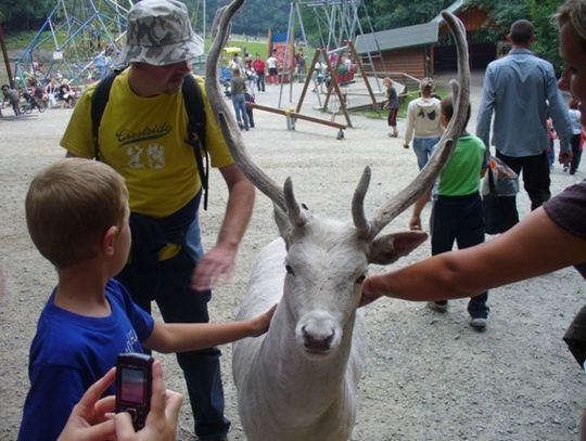 ZAMIAST W BIESZCZADY POJECHALI DO USTRONIA