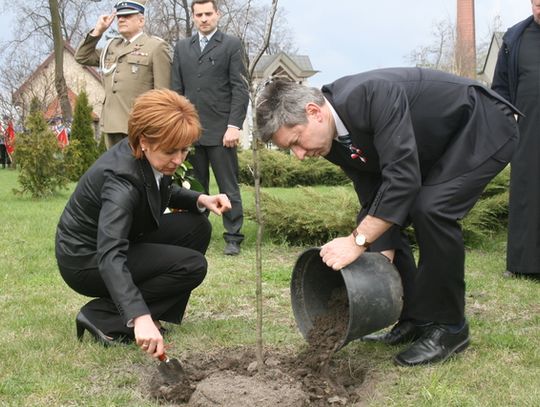 CZTERY DĘBY DLA PAMIĘCI KATYNIA