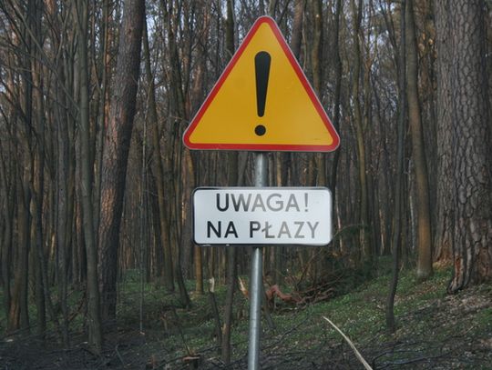 ŻABY NA RĘKACH NOSZONE