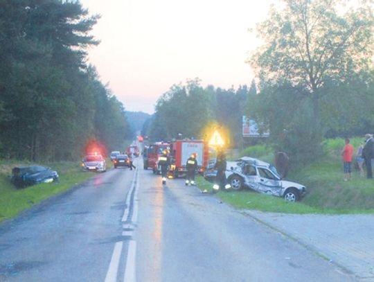 WINIEN KIEROWCA CZY WŁAŚCICIEL POSESJI?