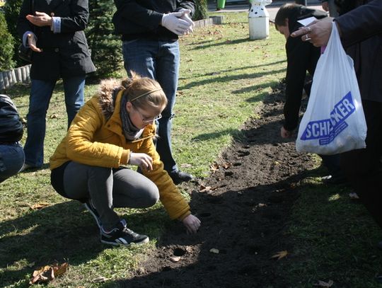 NADZIEJA ZAKWITNIE WIOSNĄ