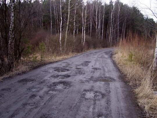 PARKOWA JAK SER SZWAJCARSKI