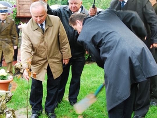 DĄB I TABLICA DLA OFIAR POD SMOLEŃSKIEM