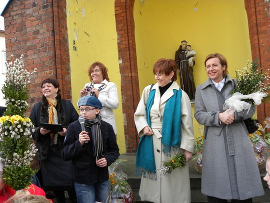 W KOZIEGŁOWACH PALMY NAJWYŻSZE I NAJPIĘKNIEJSZE