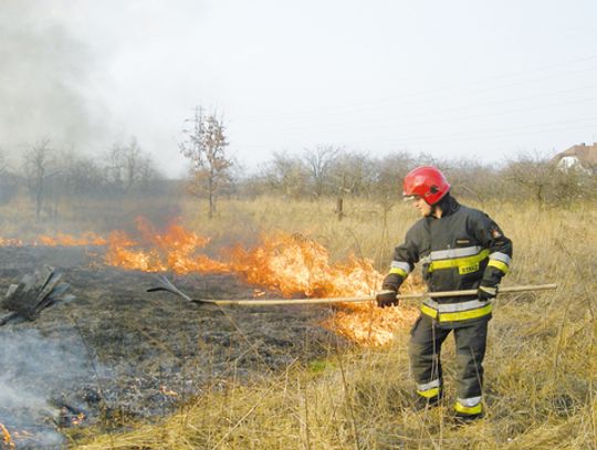 SPALONE KRZEWY I MANDAT ZA WYPALANIE TRAW