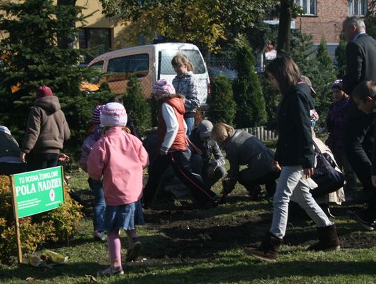 NADZIEJA ZAKWITNIE WIOSNĄ