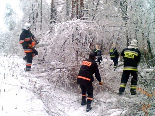 GMINY LICZĄ STRATY PO KLĘSCE ŻYWIOŁOWEJ