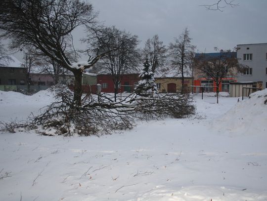 ARCHEOLODZY PONOWNIE ODKRYJĄ RYNEK