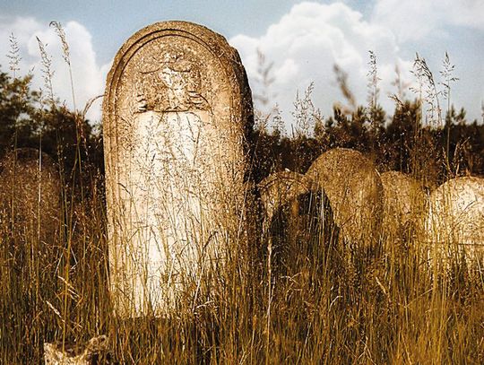 Fotografowali gminę Żarki