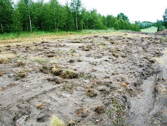 SMRÓD POWODEM DYMISJI SOŁTYSA?