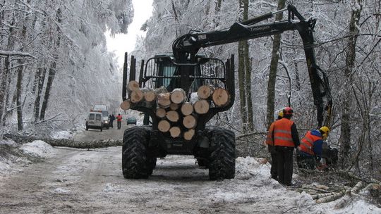 OPRÓCZ ŻOŁNIERZY POMOGLI LEŚNICY