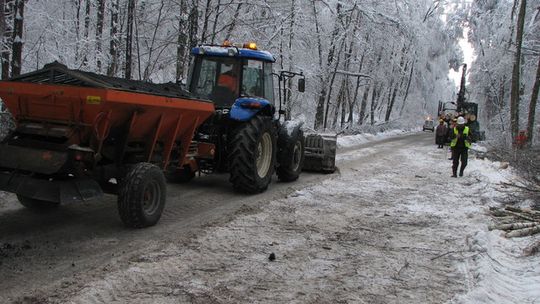 OPRÓCZ ŻOŁNIERZY POMOGLI LEŚNICY