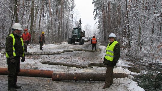 OPRÓCZ ŻOŁNIERZY POMOGLI LEŚNICY