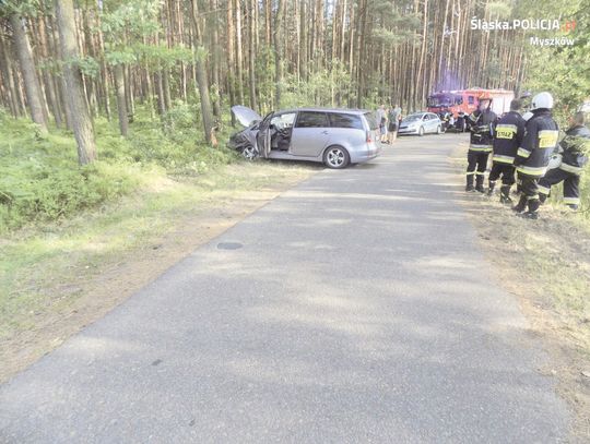 OKAZUJE SIĘ, ŻE SAMO PRAWO JAZDY NIE WYSTARCZY