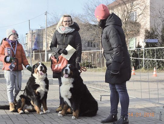 W POWIECIE MYSZKOWSKIM PADŁ KOLEJNY REKORD ZBIÓRKI NA WOŚP!