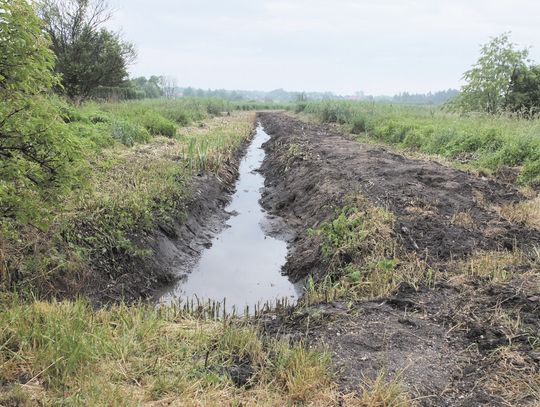 DZIELNICA PODLAS TRUJE SĄSIADÓW Z BOCZNEJ