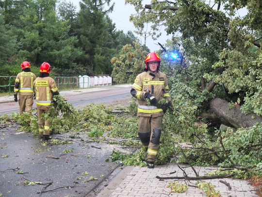 Droga Żarki- Myszków. Strażacy usuwali powalone na drogę drzewo. Konieczne było regulowanie ruchu pojazdów.