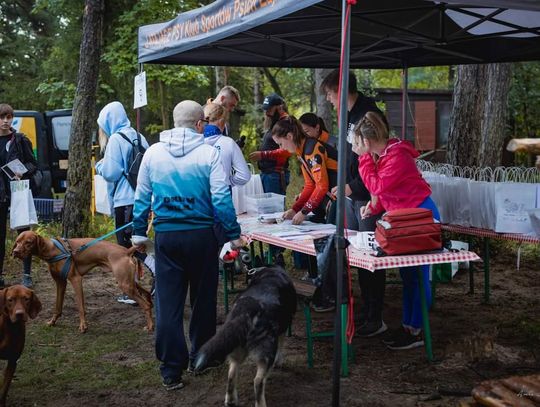 Z poprzednich edycji Jurajskiego Dogtrekkingu