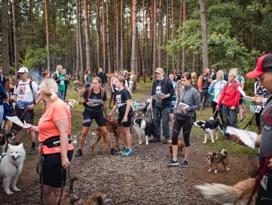 Z poprzednich edycji Jurajskiego Dogtrekkingu